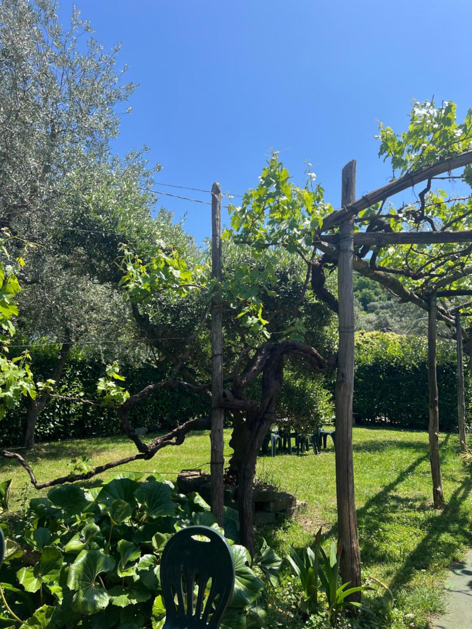 Вилла Agriturismo Le Grottelle Сант-Агата-суи-Дуэ-Гольфи Экстерьер фото